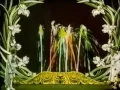 Beach House "Wishes"