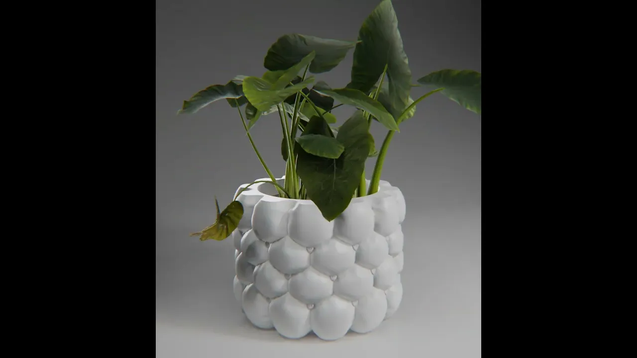 Hive-Cloth planter video thumbnail