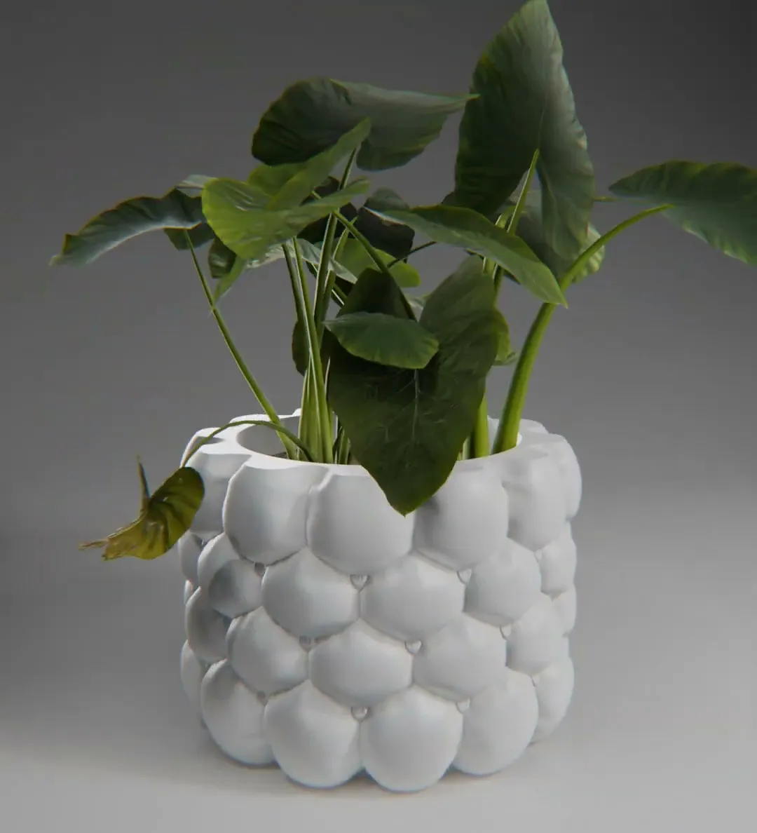 Hive-Cloth planter