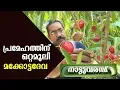 Lagu MAHKOTA DEWA : MEDICINAL PLANT - NATTUVARAMBU | 3 NOVEMBER  2019 | JANAM TV