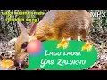Download Lagu LAOSI || Lagu nias || Yas. Zalukhu