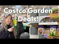 Costco Garden Bargains and Home Depot for Seeds