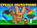 Download Lagu NEW Fennec Fox Pet Steals MUTATIONS in Grow a Garden.. (This is OP!)