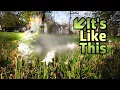 My Experience with Scintillating Scotoma Visual
