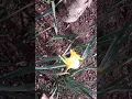 Level Best Horticulture