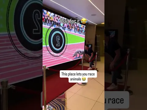 Video Thumbnail: He won but at what cost 😭 (via @alxxwilson/TT)