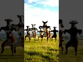 Download Lagu Sapi Gemuk Joget Rame: Sound Horeg. #funny #sapilucu #cow #sapigemuk