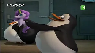 بطاريق مدغشقر حلقه 3 موسم الرابع 