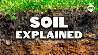 The Only Soil Video You Ever Need To Watch