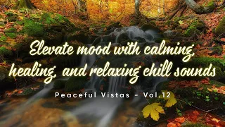 Download Hush Little Baby | Elevate mood with calming, healing, and relaxing chill sounds | Vol.12 MP3