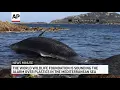 AP Top Stories April 1 P