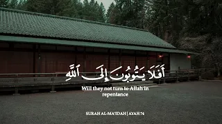 ساعة كاملة تلاوة تقشعر لها الأبدان بصوت محمد اللحيدان Reciter Mohamed Ellhidan  ساعة كاملة تلاوة تقشعر لها الأبدان بصوت محمد اللحيدان Reciter Mohamed Ellhidan