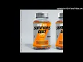 Meek Mill ft. G Herbo - Survivor's Guilt