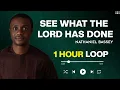 SEE WHAT THE LORD HAS DONE - NATHANIEL BASSEY ( 1 HOUR LOOP )