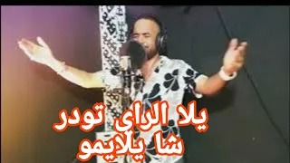 CHEB YACINE LMIGNON 2023 يلا الراي تودر وشتا يلايمو 