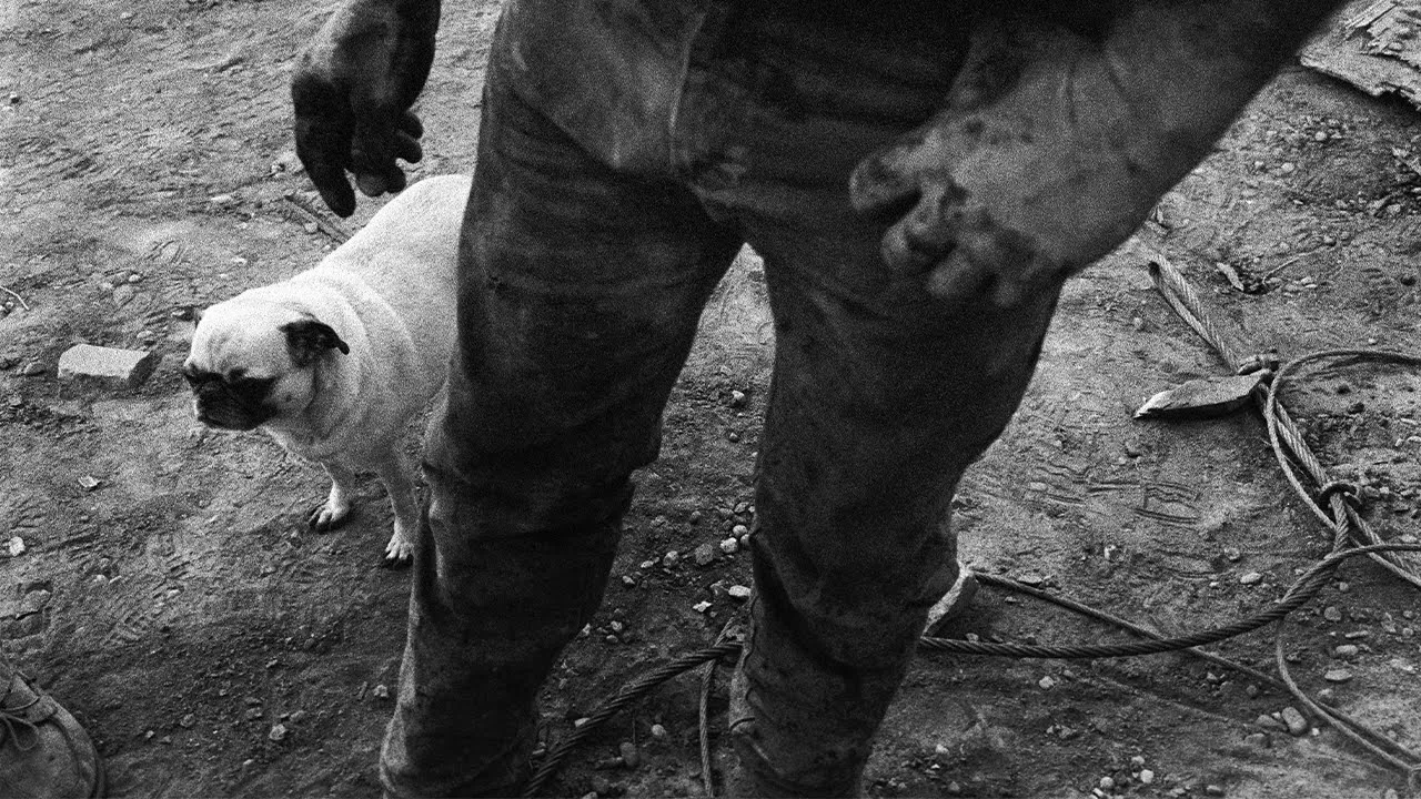 Busting Photography Myths and False Beliefs feat. Documentary Photographer Daniel Milnor
