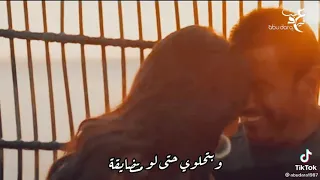 رايقة عمرو دياب حالات واتساب 