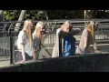 Download Lagu Dagje ARTIS bezoeken in AMSTERDAM samen met mijn VRIENDIN Sophie. Super LEUK #artis #amsterdam #3837