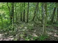 Middle Road Three Rivers MI Homes for Sale http cressyeverett com