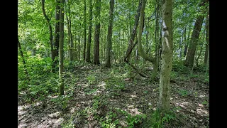 Middle Road Three Rivers MI Homes for Sale http cressyeverett com