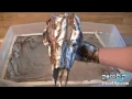 Hydro Dipping a Deer Skull - DecoDip com