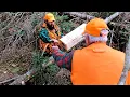 Download Lagu Wilderness Trapline: Setting Marten Boxes: Episode 9