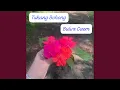 Download Lagu Tukang Bohong
