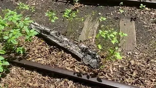 the great walton railroad 2023 end of the line 