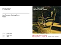 Joe Thomas - Polarizer