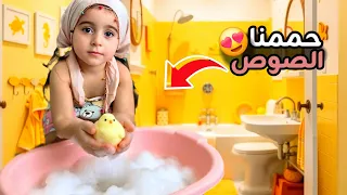                               دندنها