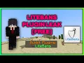 LiteBans Plugin Plugin Leak Tutorial PREMIUM PLUGIN LEAK