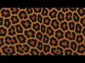 3 hour animal print screen