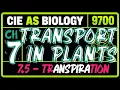 AS BIO 9700 CHAPTER 7 - TRANSPORT IN PLANTS 7 5