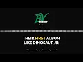 10 Albums to Hear Before Making Your Best of 2025 List Geese Live Review BV Weekly