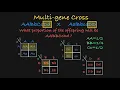 Multi-Gene Genetics Problems Explained