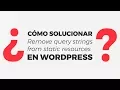 Como resolver Remove query strings from static resources WordPress