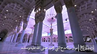 المنشد أديب الدايخ موال في مدح النبي محمد صلى الله عليه وسلم 
