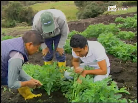 Ecuador Agropecuario 22-03-2018