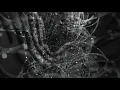 Dmitry Evgrafov — Whirl