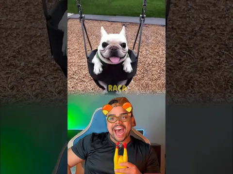 Qual é a raça do seu cachorro?🐶