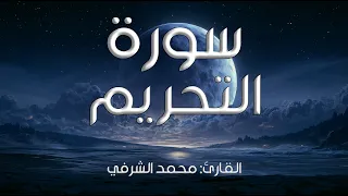 سورة التحريم I القارئ: محمد الشرفي