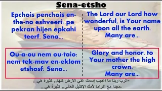              سينا اتشو             دندنها