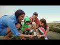 Explore La Jolla Tide Pools