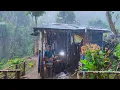 Download Lagu Mencekam 😱 Di Hantam Hujan Deras Setiap Hari - Tinggal Di pondok Hutan Mengurus Kebun