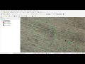 Agristry Weed Detection to shapefile demo