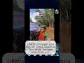Download Lagu Pahlawan Tanpa Tanda Jasa
