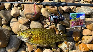 Backyard Fishing Bonanza!! (Personal Best!)
