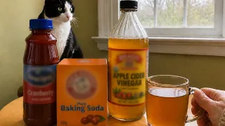 Honey Trick Ingredients: Learn the Exact Honey Trick Ingredients for MEN (FAST RECIPE)