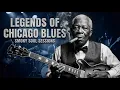 Lagu Whiskey \u0026 City Lights 🌃 Slow Chicago Blues Music