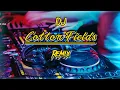 Download Lagu Dj Cotton Fields - Claudio Montela ( Simple Funky ) Remix!!!